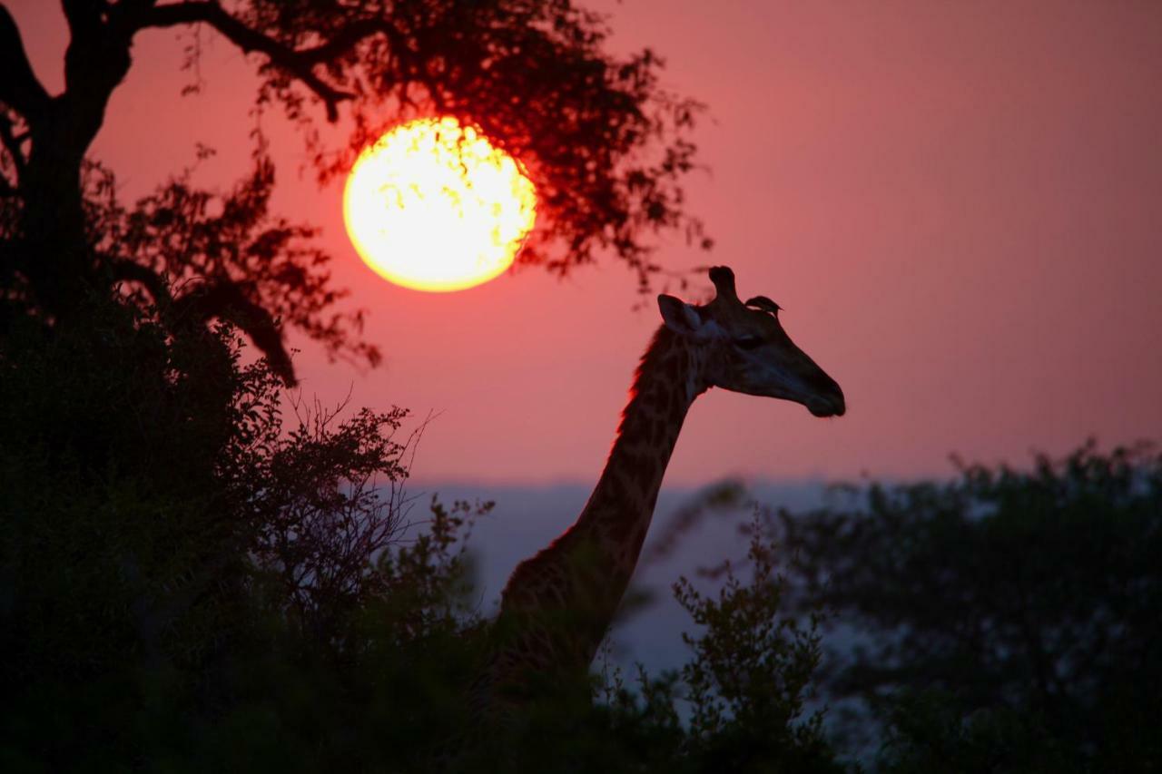 Ivory Wilderness River Rock Lodge privé-wildreservaat Klaserie Buitenkant foto